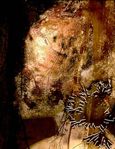 Spirit of the Forest